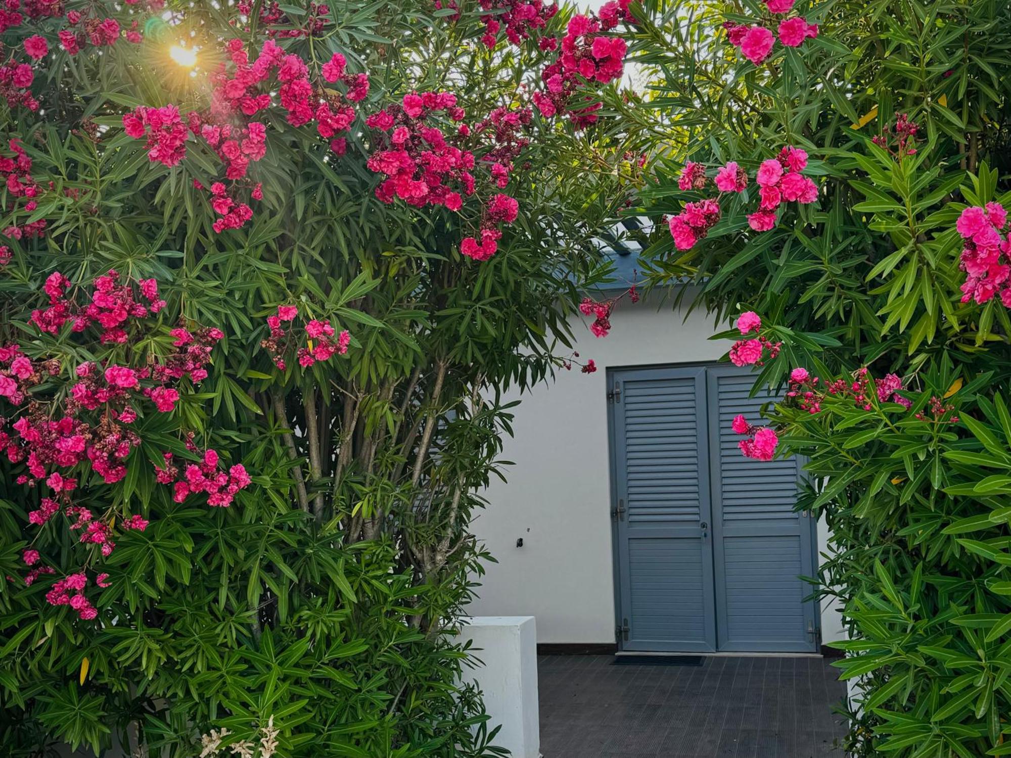 Baia Sangiorgio Hotel & Beach Club Bari Dış mekan fotoğraf